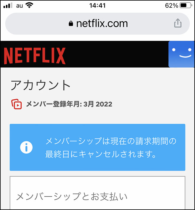 Netflix kaiyaku 08